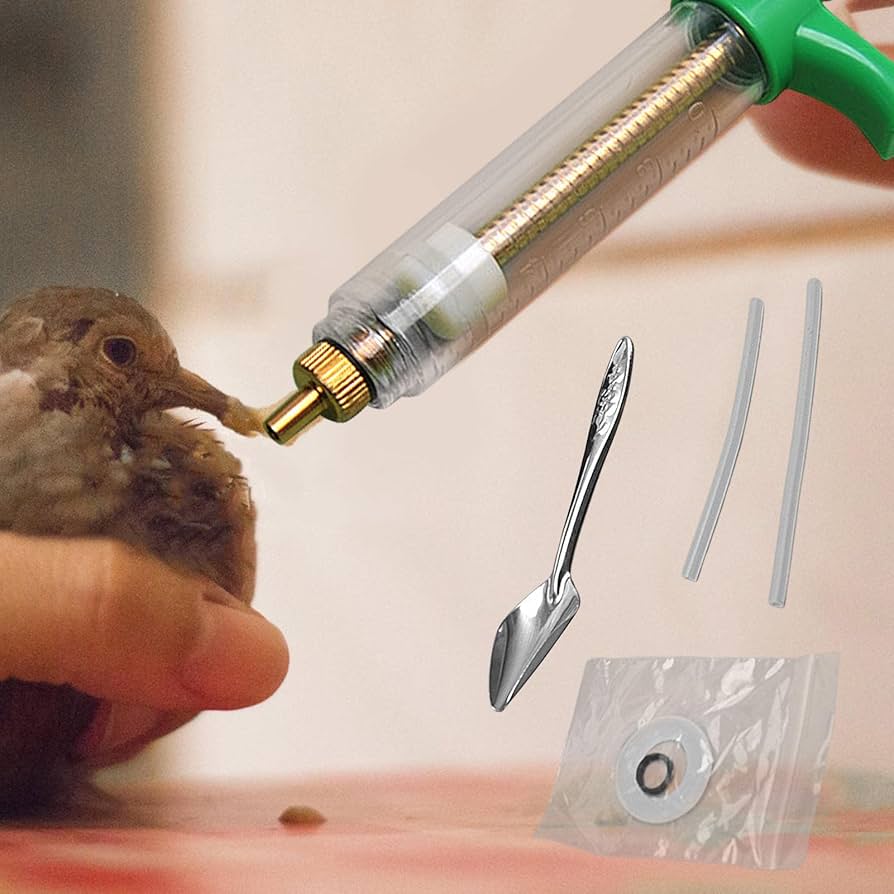 ☆スチームパンク!インコちゃんオーダーページ コウペンちゃん NEOツインGTGK～Webオーダーパック（ブルー